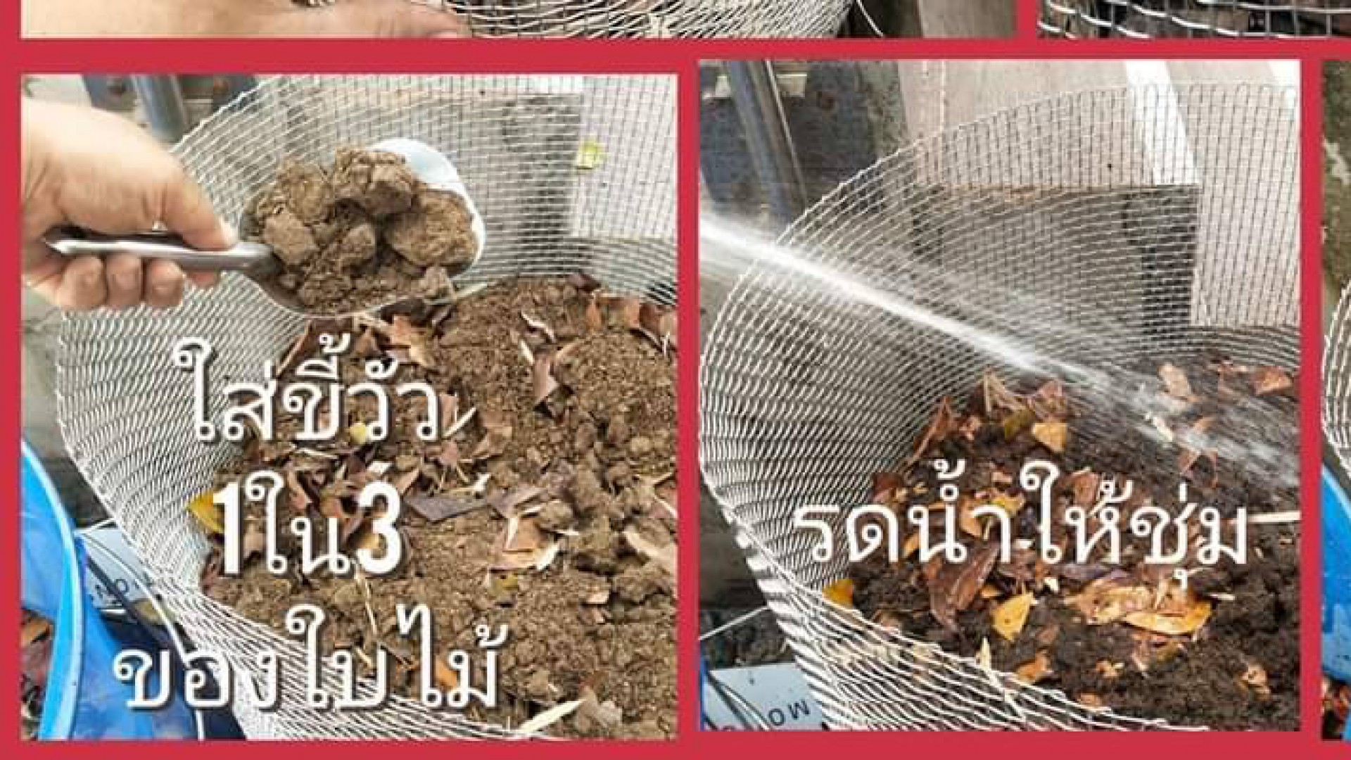 slideshow slide image