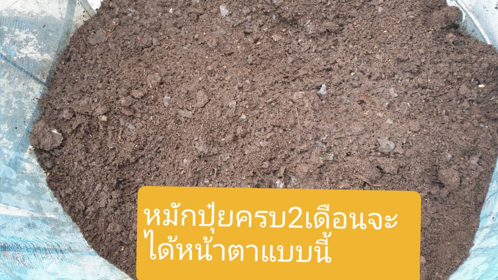 slideshow slide image