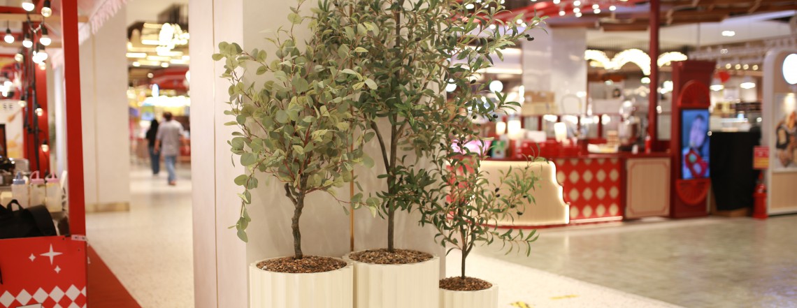 slideshow slide image